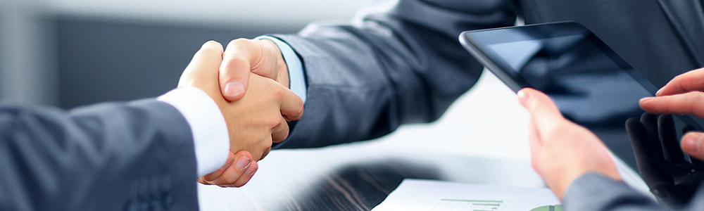 Предоставление выписок из ЕГРЮЛ